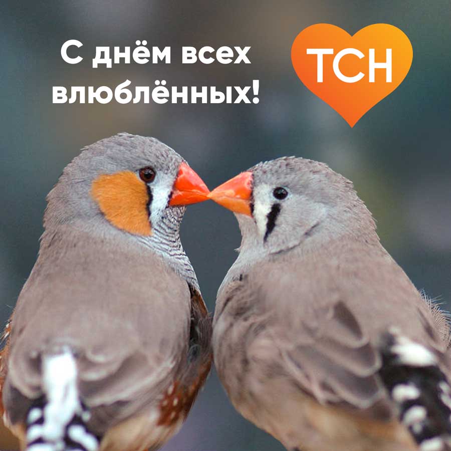 Корпоративная рассылка ТСН Недвижимости