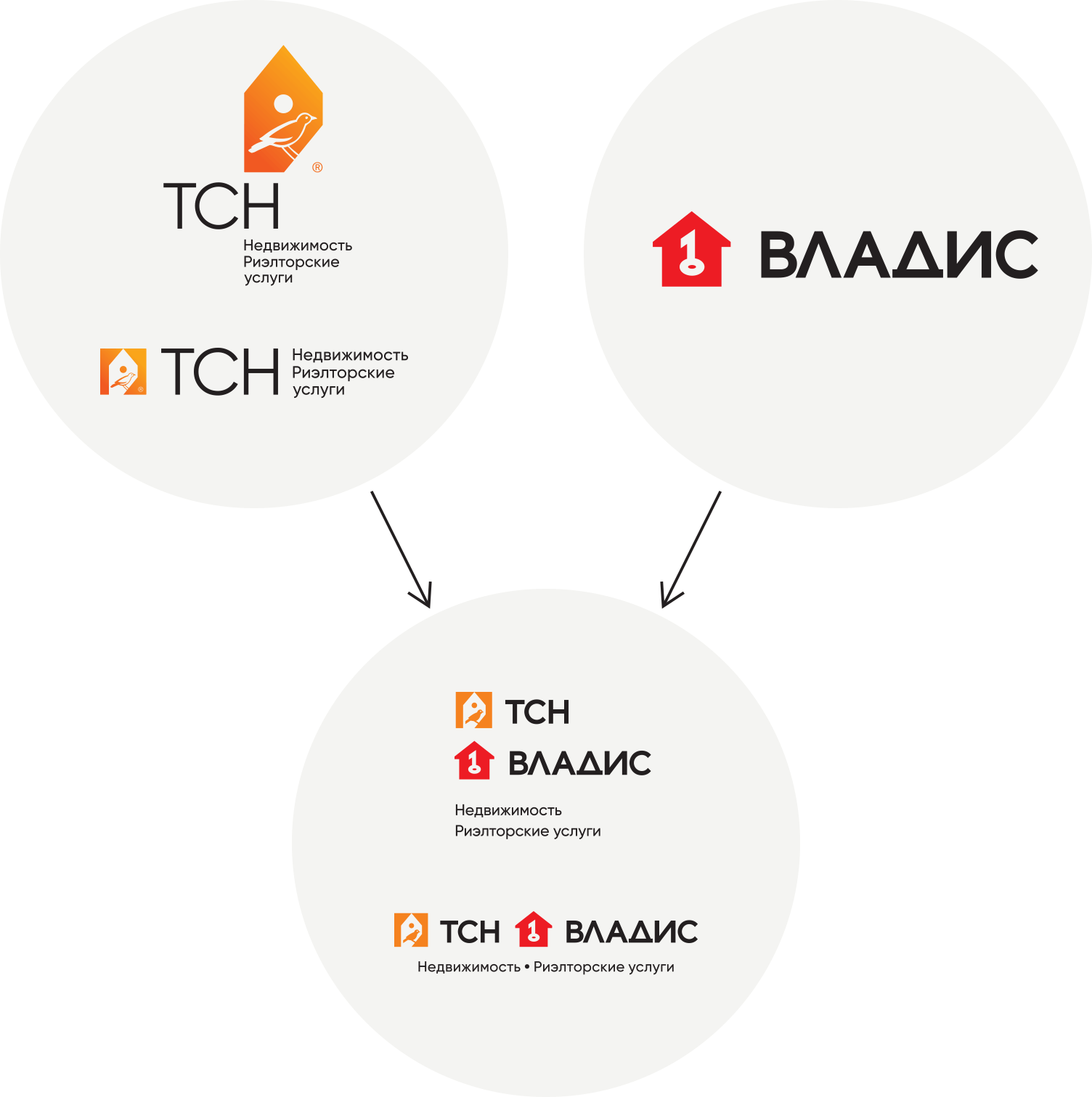 Айдентика «ТСН Владис»